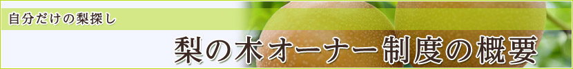 自分だけの梨探し｜梨の木のオーナー制度の概要